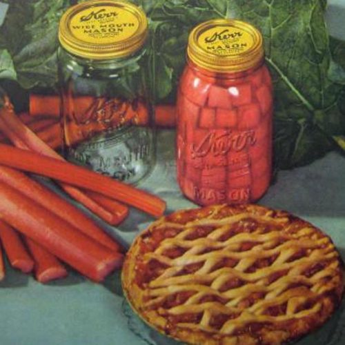Old-Fashioned Rhubarb Pie Recipe
